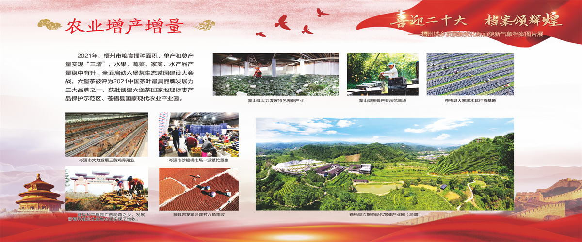 档案局展板0607定稿_09.png